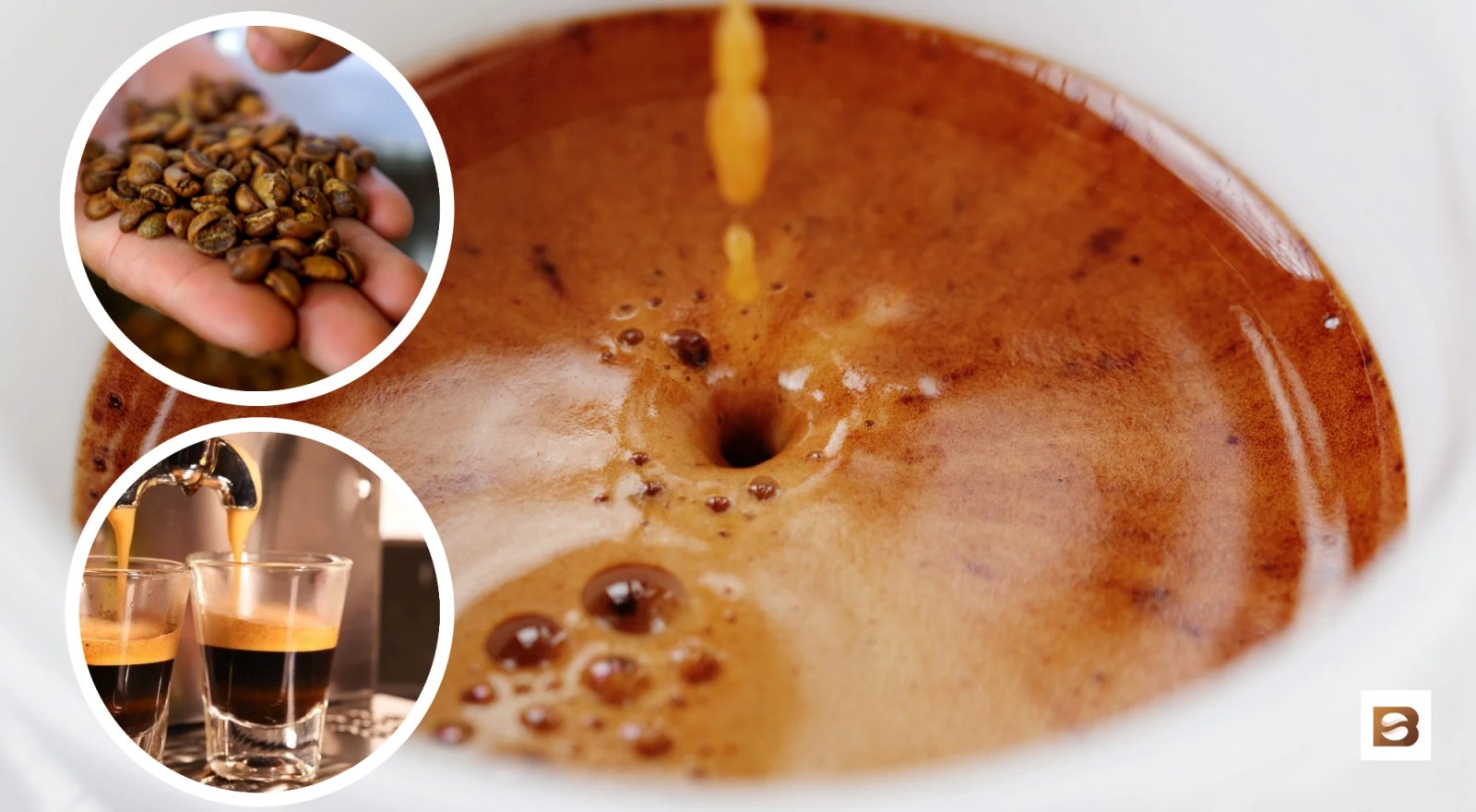 How To Make Perfect Espresso Crema? (The 5 Golden Rules!) • Bean Ground How To Make Perfect Espresso Crema? (The 5 Golden Rules!) • Bean Ground