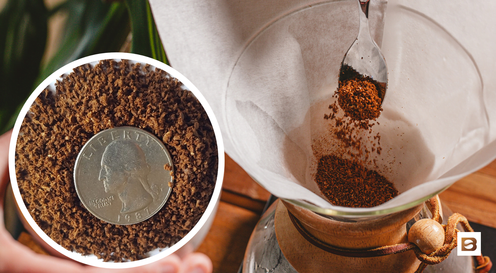 What Is The Best Chemex Grind Size? • Bean Ground What Is The Best Chemex Grind Size? • Bean Ground