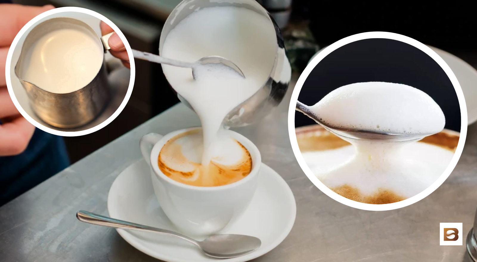 Which is the Best Coffee Companion? • Bean Ground Which is the Best Coffee Companion? • Bean Ground