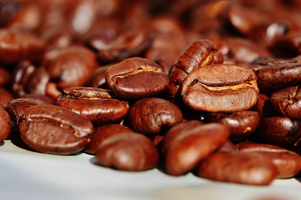 Exploring the World of Specialty Coffee: A Guide for Beginners Exploring the World of Specialty Coffee: A Guide for Beginners