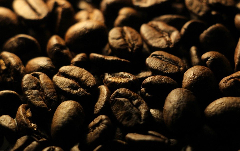 The Rise of Plant-based Coffee Alternatives: Are They Worth the Hype? The Rise of Plant-based Coffee Alternatives: Are They Worth the Hype?