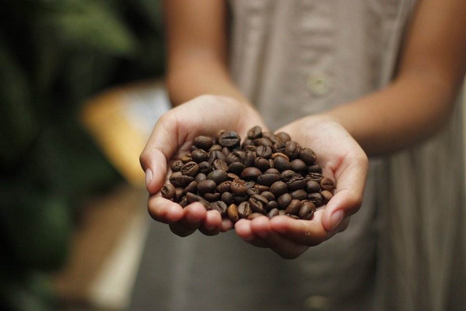 Unlocking the Secrets of Turkish, Vietnamese, and Other Unique Coffee Types Unlocking the Secrets of Turkish, Vietnamese, and Other Unique Coffee Types